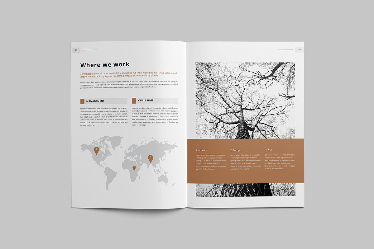 Brochure, a Brochure Template by Tanber Hossen (Photo 10 of 14)