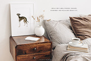 Dog breed clipart illustration set, an Animal Illustration by Diana Askarova Art (Thumbnail 4 of 8)