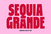 Sequia Grande - Condensed Font, a Sans Serif Font by Viswell (Thumbnail 1 of 9)