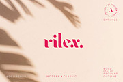 Alohai Feminim Serif Typeface, a Serif Font by delipensil (Thumbnail 3 of 10)