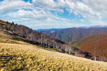 Autumn mountains  and stark bare trees, a Nature Photo by YuriyB