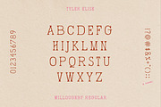 WILLOUGHBY by Tyler Elise, a Serif Font by tylerelise (Thumbnail 2 of 7)