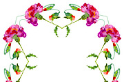 №10 Red carnations blooming, a Decorative Illustration by Rasveta (Thumbnail 4 of 5)