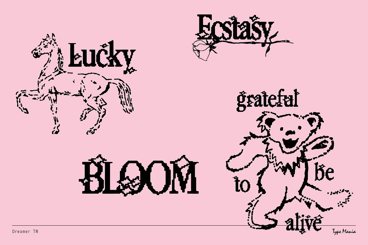 Dreamer TM – Y2K Aesthetics Font, a Serif Font by Type Mania (Photo 5 of 11)