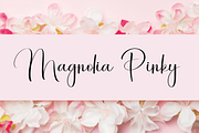Brighside, a Handwritten Font by FreshTypeINK (Thumbnail 4 of 8)