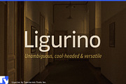 Ligurino, a Sans Serif Font by Typodermic Fonts Inc.
