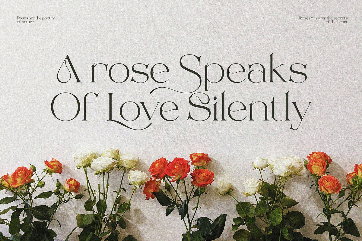 Beauty Rovesa Elegant Display Serif, a Serif Font by BrandSemut (Photo 4 of 15)
