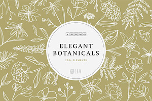 Elegant Botanicals | 100% Hand drawn