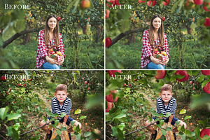 Apple Orchard Photo Overlays