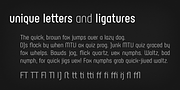 Rotundus, a Sans Serif Font by dayflash (Thumbnail 4 of 5)