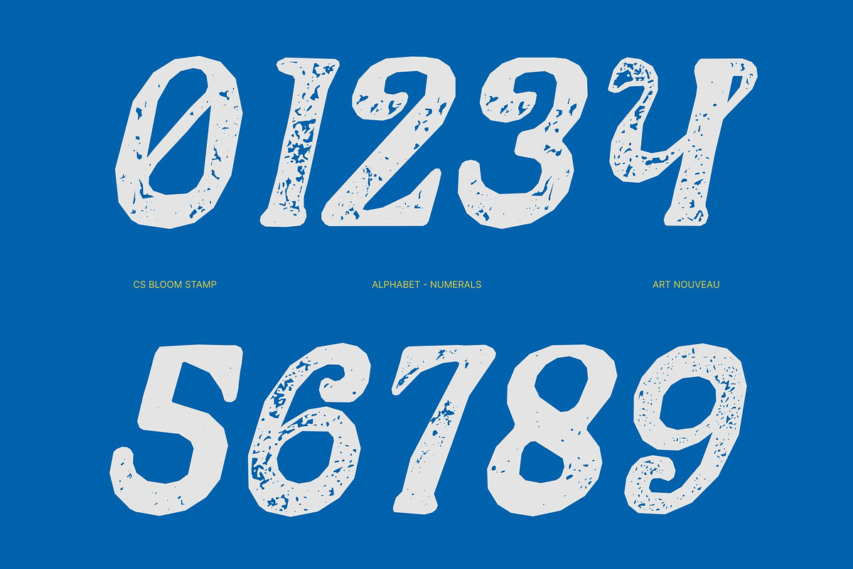 CS Bloom Stamp, a Serif Font by Craft Supply Co. (Photo 4 of 8)