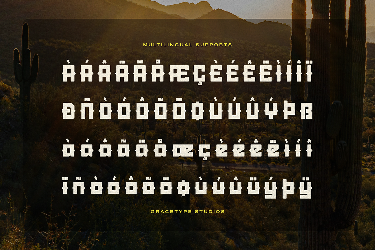 Lanarei | Western Slab Serif, a Slab Serif Font by gracetype_studio (Photo 11 of 12)