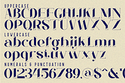 Greatest Realities - Modern Font, a Serif Font by 177Studio (Thumbnail 7 of 8)