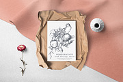 Pomegranate Fruit Vector Set, a Food Illustration by Molly art (Thumbnail 8 of 8)