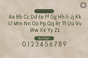 Chamellia Valley - Handmade Script, a Handwritten Font by Setara Langit CreativeStd (Thumbnail 10 of 10)
