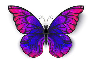 Tricolored Butterfly