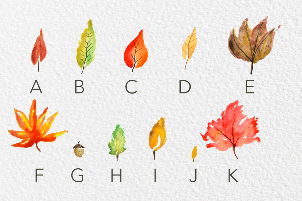 Sarah & Jon Watercolor Font preview 4
