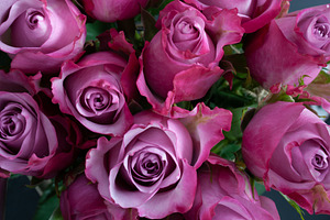 Top View Pink Roses