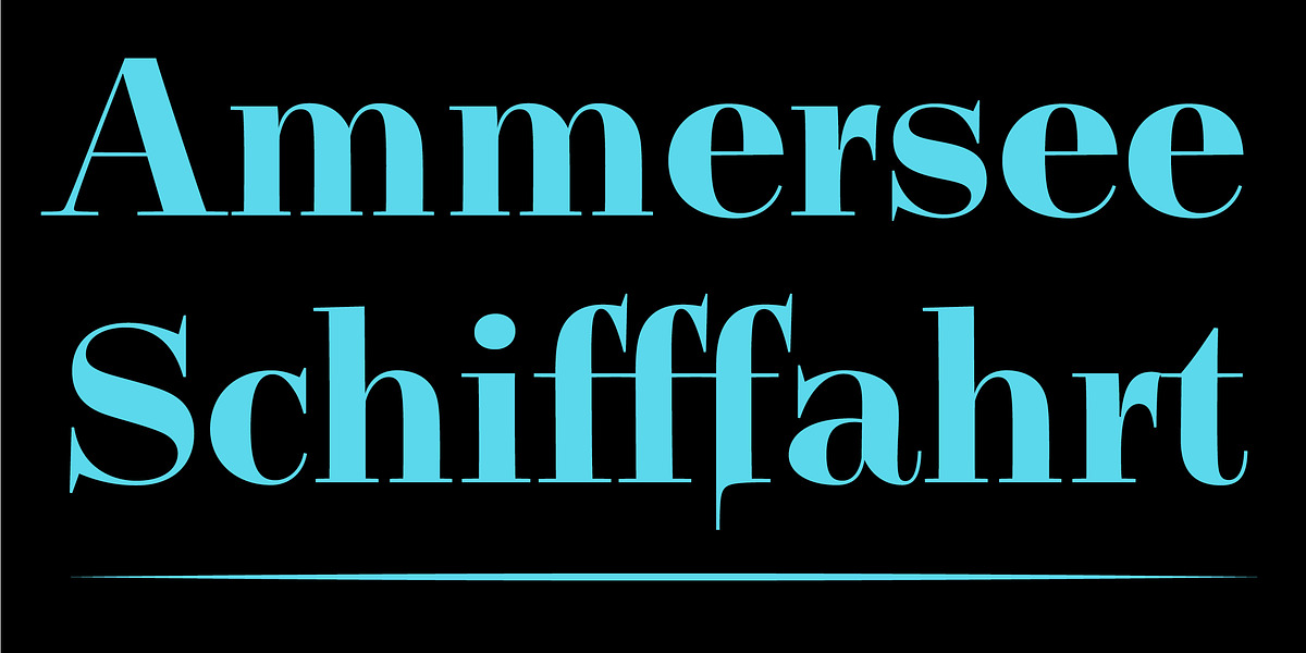 Legit Didone Head, a Serif Font by Finaltype (Photo 13 of 14)