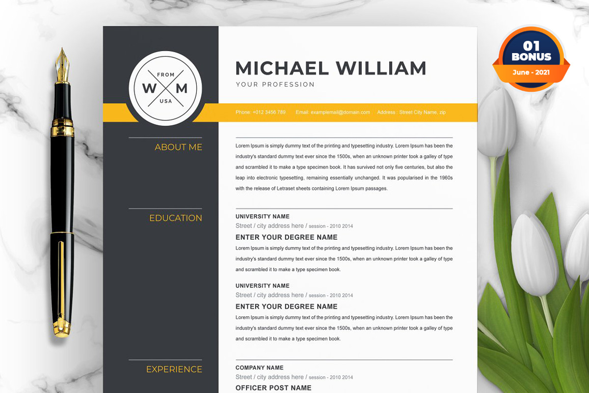 Resume/CV Bundle | 200+ for $29, a Resume Template by ResumeInventor (Photo 177 of 207)