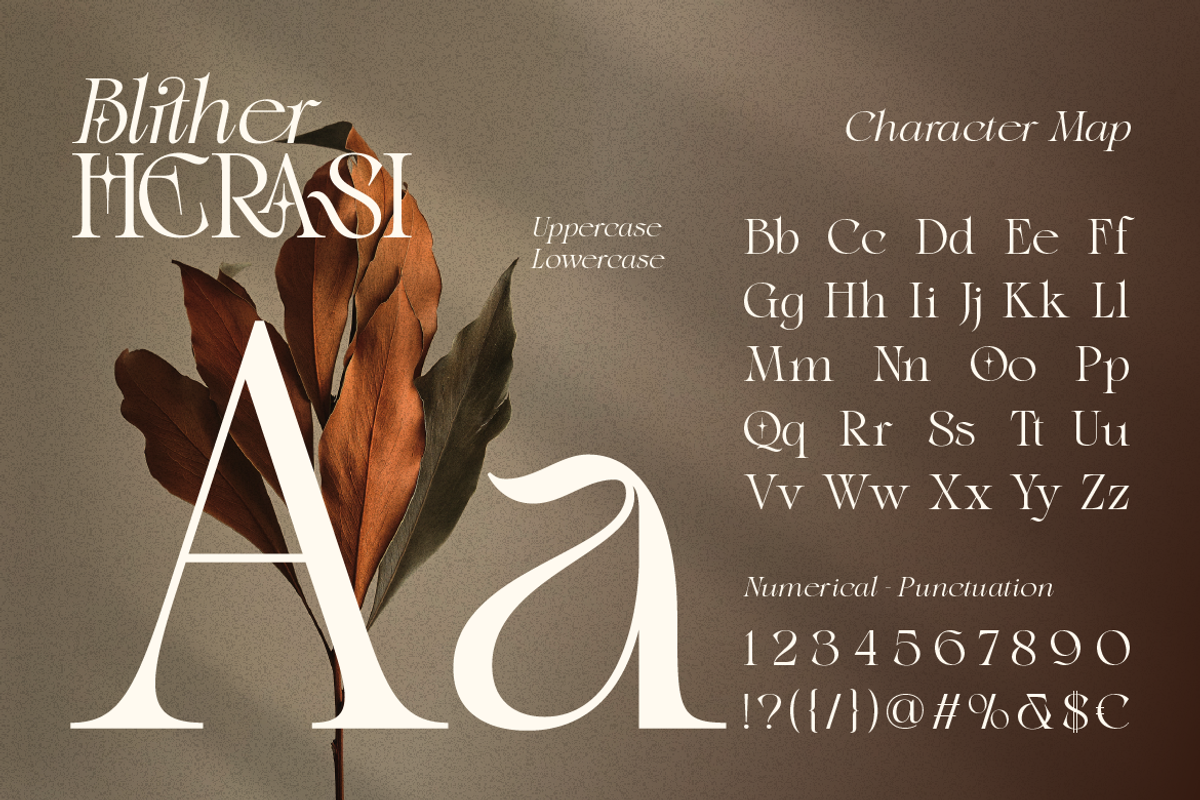 Blither Herasi - Elegant Serif, a Serif Font by Burntilldead (Photo 2 of 12)