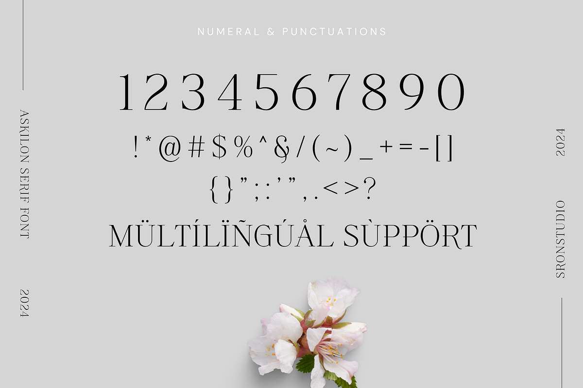 Askilon - Beautiful Serif Font, a Serif Font by Sronstudio (Photo 12 of 13)