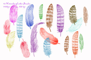 Watercolor Photoshop Brush Feathers