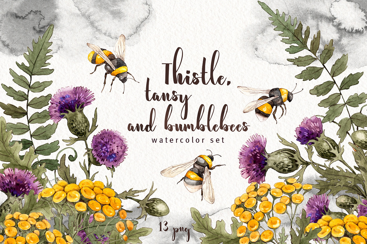 Thistle tansy bumblebees watercolor, an Illustration by Alamella (Photo 1 of 5)