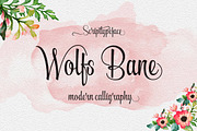 Calligraphy Big Bundle (95%off), a Script Font by groens (Thumbnail 45 of 46)