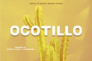OCOTILLO by Earth To Krissy Design, a Sans Serif Font by earthtokrissydesign (Thumbnail 5 of 6)