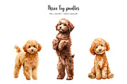 Watercolor Christmas toy poodle set, an Animal Illustration by Art and Funny (Thumbnail 2 of 6)