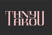 MANCHESTER | Display Typeface, a Serif Font by Havinkpen (Thumbnail 10 of 10)