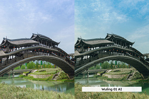 20 Chongqing Lightroom Presets LUTs