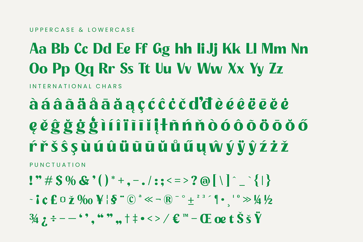 Agorey Dalling Groovy Retro Serif, a Serif Font by timelesstype.co (Photo 18 of 20)