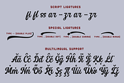 Authentic Vintage Sans & Script, a Script Font by Absonstype (Thumbnail 12 of 12)