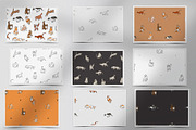 Cute cats set, an Animal Illustration by Anastasy_helter (Thumbnail 5 of 7)