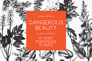 10 Most Poisonous Plants. Vector set, a Healthcare Illustration by Yevheniia (Thumbnail 1 of 8)