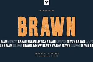 Brawn Handwritten Typeface, 40 Fonts