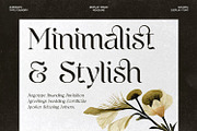 Agilera - Stylish Ligature Font, a Serif Font by Asenbayu (Thumbnail 2 of 15)