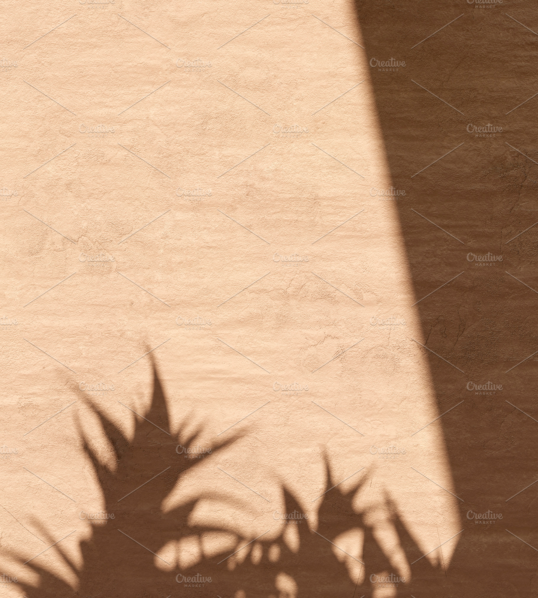 Rustic wall plant shadow background, an Abstract Photo by hitdelight