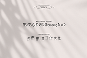 Wistoria - A Elegant Serif Typeface, a Serif Font by overlaytemplates (Thumbnail 5 of 5)