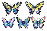 Watercolor Butterfly Clipart, an Illustration by Libby Wishes (Thumbnail 3 of 5)