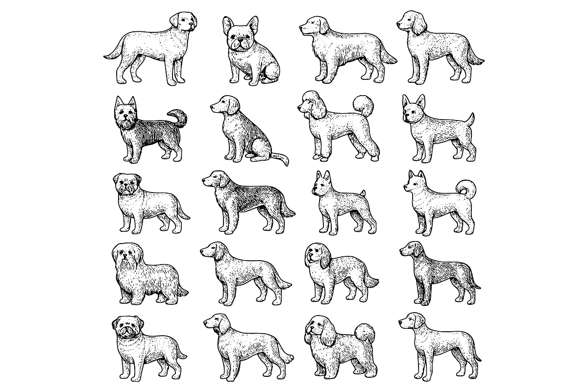 Dog Breeds  Illustration Set, an Object Graphic by nikagraphic