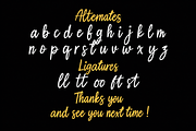 Reinstay - Brush Script Font, a Script Font by StringLabs (Thumbnail 12 of 12)