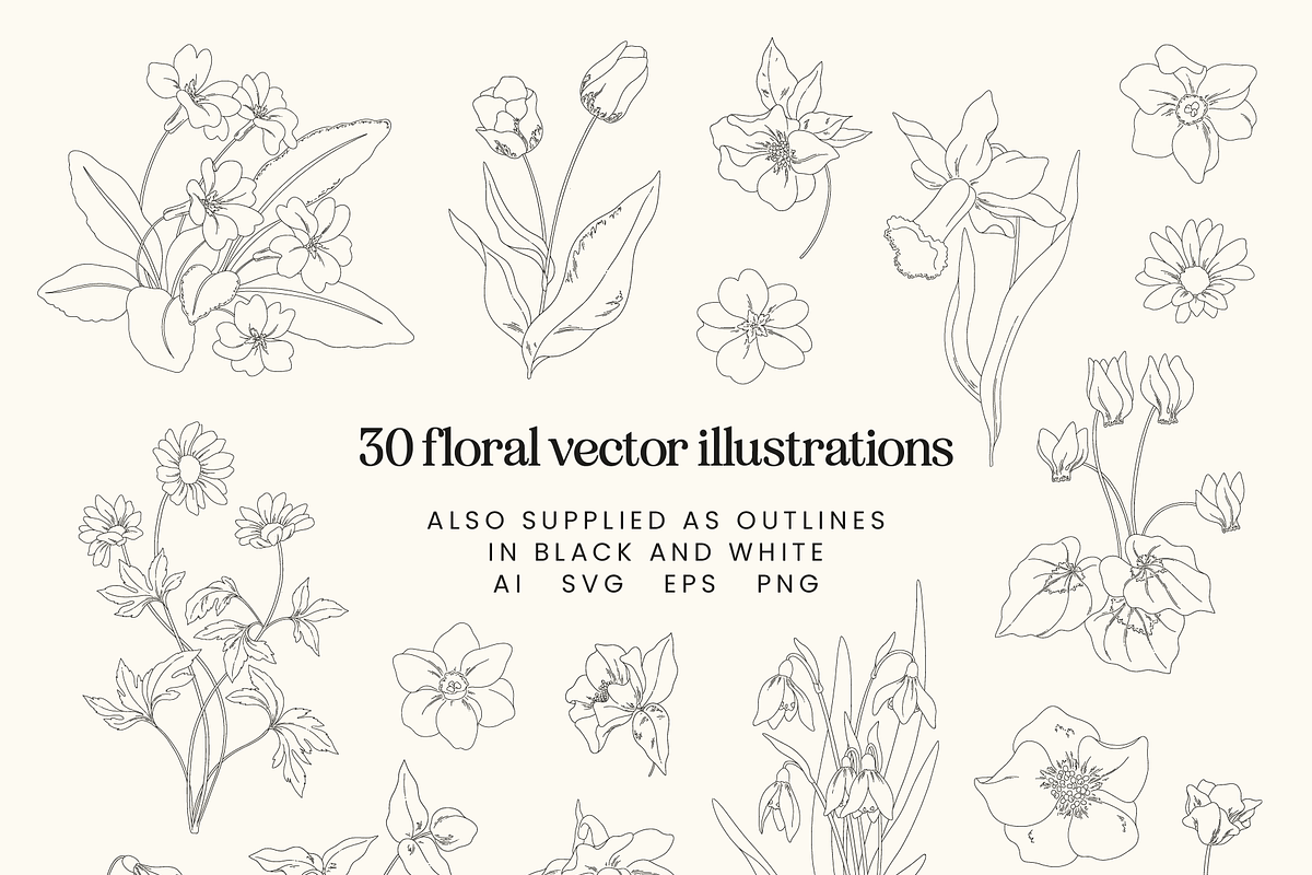Spring Floral Vector Illustrations, a Decorative Illustration by Emma Webb Studio (Photo 4 of 9)