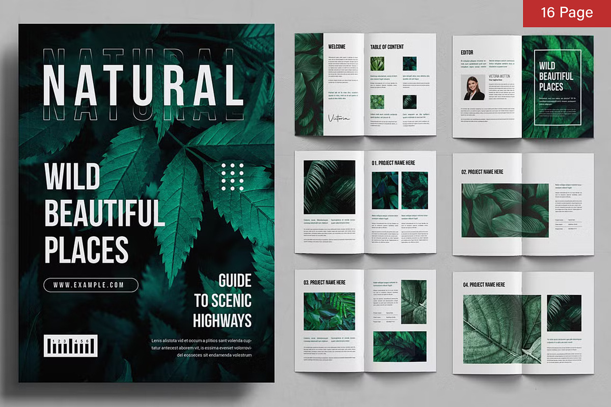 Magazine Bundle preview 4