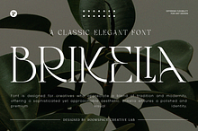 Brikelia Minimalist Fashionable Font