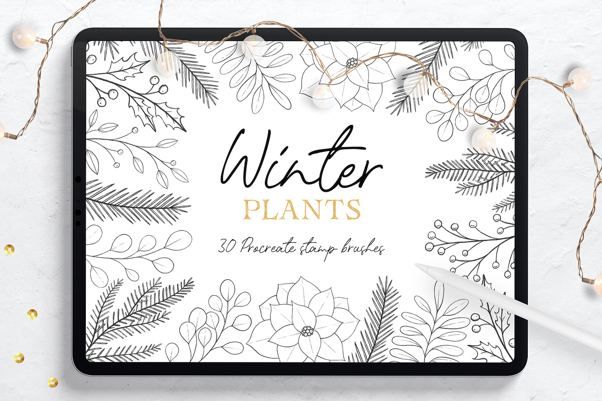 Winter Plants Procreate Stamps, a Brush Add-On by Little Nordic Atelier (Photo 1 of 4)