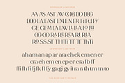 The Sapphire - A Calligraphic Serif, a Serif Font by Ivan Rosenberg (Thumbnail 7 of 19)
