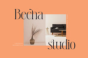 Lafonte Font, a Serif Font by vuuuds (Thumbnail 6 of 13)